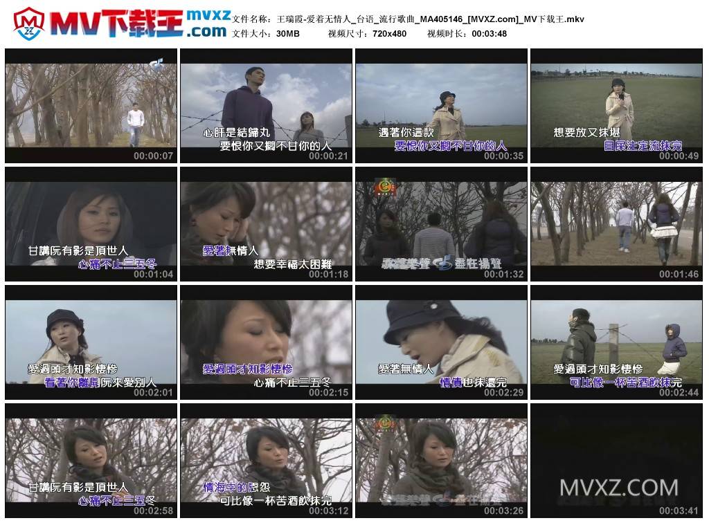 王瑞霞-爱着无情人_台语_流行歌曲_MA405146